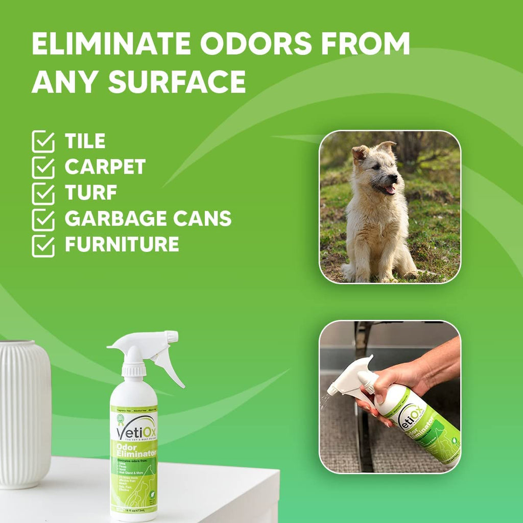 VetiOx Pet Odor Eliminator, Veterinarian Strength Dog and Cat Odor Eliminator, 16 oz Trigger Spray Bottle